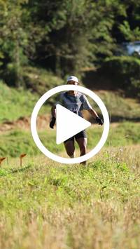 BIB:  <button type="button" onclick="openModal(26565558)" class="btn btn-primary btn-sm float-right" data-toggle="modal" data-target=".modal-high-quality">
                <i class="fa fa-download"></i> Download
                </button>